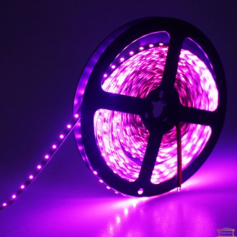 Зображення Стрічка світлодіодна 5050 60 LED 12V IP20 рожева купити в procom.ua