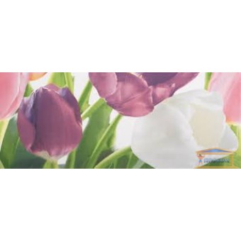 Изображение Декор Ялта Tulip PN 20*50(к-т 2шт) купить в procom.ua
