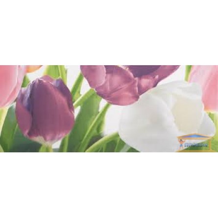 Изображение Декор Ялта Tulip PN 20*50(к-т 2шт) купить в procom.ua - изображение 1