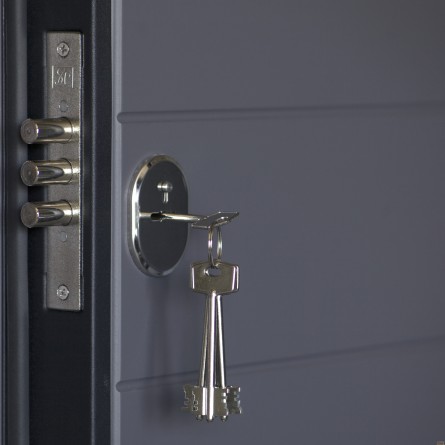 Изображение Дверь метал. ПО 179 софт серый 960 левая купить в procom.ua - изображение 2