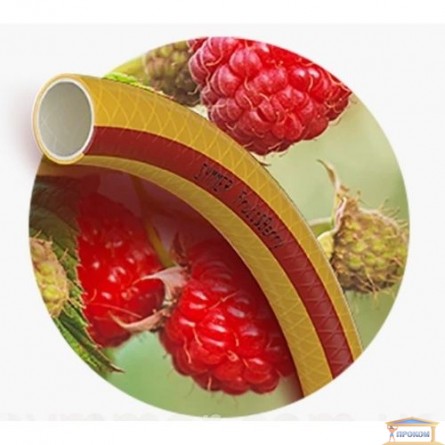 Изображение Шланг поливочн. Fruit+Berryt 3/4*6/10 желтый 20м купить в procom.ua - изображение 2