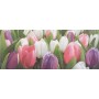 Изображение Декор Ялта Tulip mini PN 20*50 купить в procom.ua - изображение 2