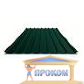 Изображение Профнастил ПК 20 2,6*1,15м темно-зеленый 6020 0,4мм купить в procom.ua