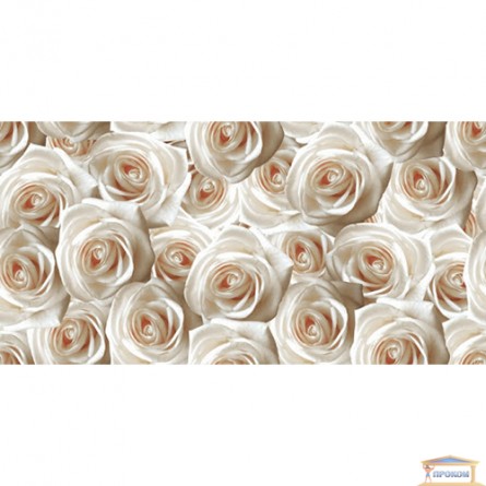 Изображение Декор Камелия (розы) 25*50 купить в procom.ua - изображение 1