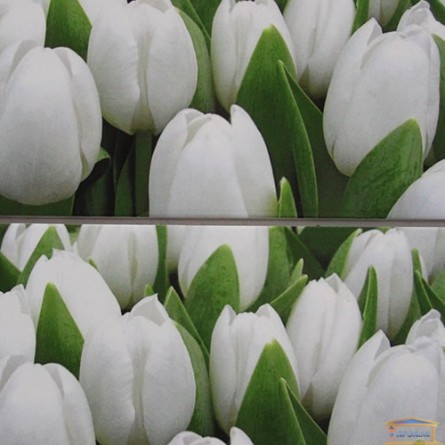 Изображение Декор Ялта Tulip mini 20*50 купить в procom.ua - изображение 1