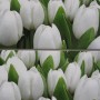 Изображение Декор Ялта Tulip mini 20*50 купить в procom.ua - изображение 2