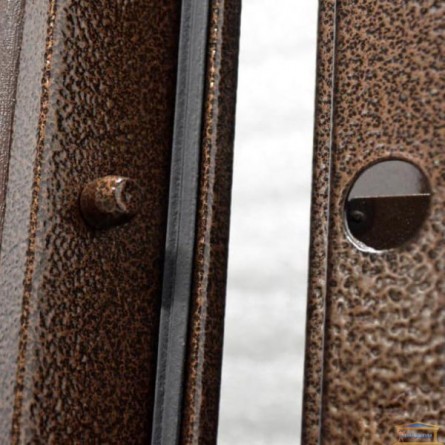 Изображение Дверь метал. ПБ 21 левая 860 мм венге структ. купить в procom.ua - изображение 3