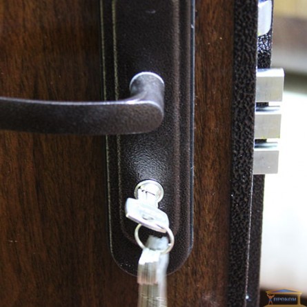 Изображение Дверь входная металлическая ПС 50М-2 правая 980мм купить в procom.ua - изображение 4