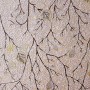 Зображення Шпалери флізелінові Хлоя д ДХН-1072/2 (1*10м) кавово-бузковий купити в procom.ua - зображення 2