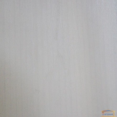Изображение Панель (6,0*0,25) Риф Белое дерево купить в procom.ua - изображение 1