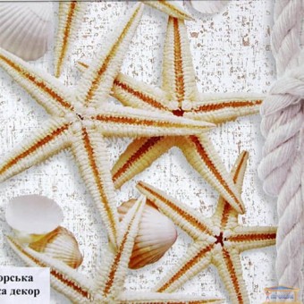 Изображение Панель (6,0*0,25м) 8мм Сумы Морская звезда декор купить в procom.ua