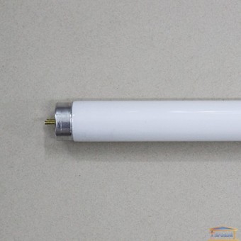 Зображення Лампа люмінісцентна TL-D 36W/54-765 1SL/25 Філіпс купити в procom.ua