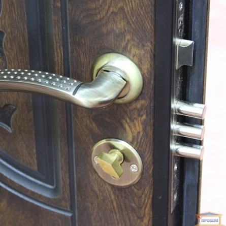 Изображение Дверь входная металлическая ПВ 82 прав. 860 мм дуб тем.патин купить в procom.ua - изображение 2